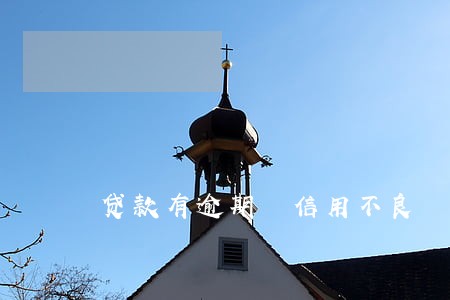 贷款有逾期 信用不良 贷款有逾期 信用不良